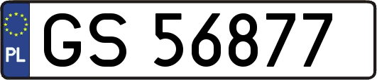GS56877