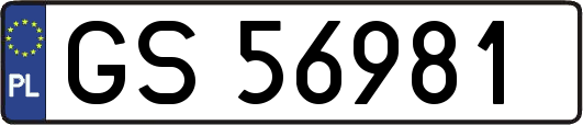 GS56981