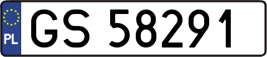 GS58291