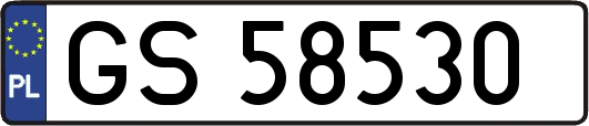 GS58530