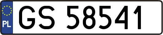 GS58541