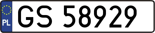 GS58929