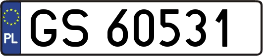 GS60531