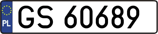 GS60689