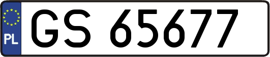 GS65677