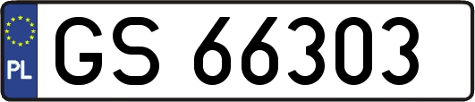 GS66303