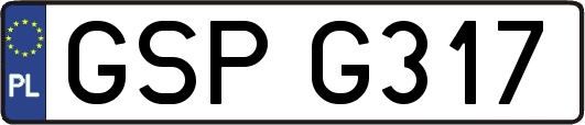 GSPG317
