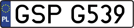 GSPG539