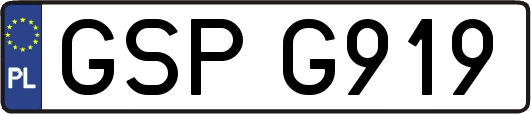 GSPG919