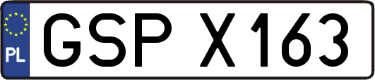 GSPX163