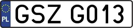 GSZG013