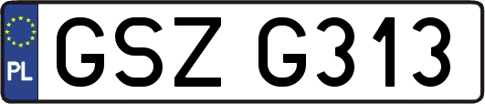GSZG313