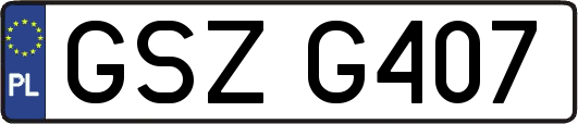 GSZG407
