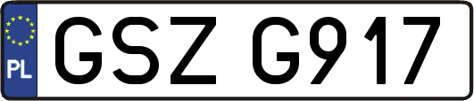 GSZG917