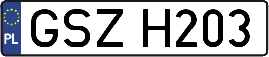 GSZH203