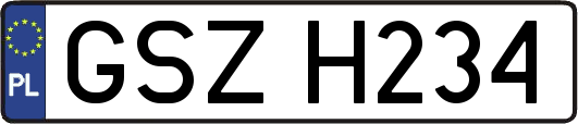 GSZH234