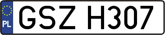 GSZH307