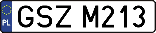 GSZM213
