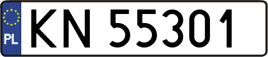 KN55301