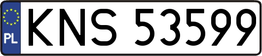 KNS53599