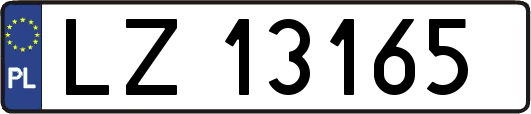 LZ13165