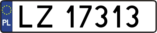 LZ17313