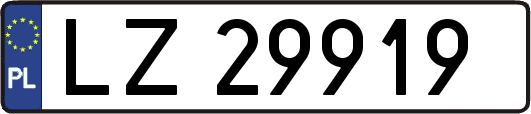 LZ29919