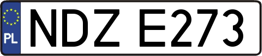 NDZE273
