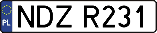 NDZR231
