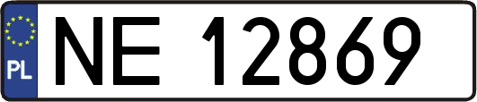 NE12869