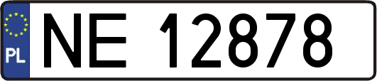 NE12878