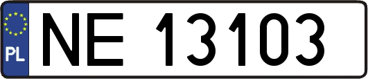 NE13103