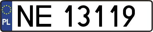 NE13119
