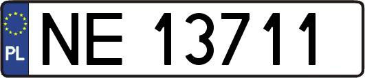 NE13711