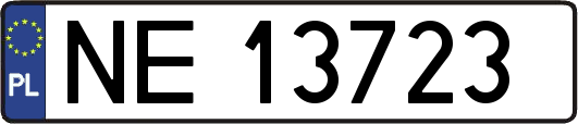 NE13723