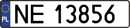 NE13856