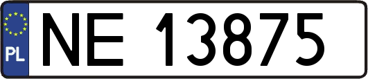 NE13875