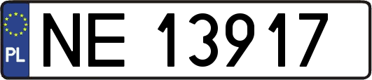 NE13917