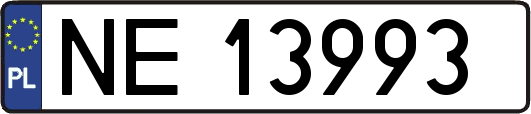 NE13993