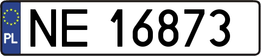 NE16873