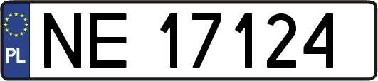 NE17124