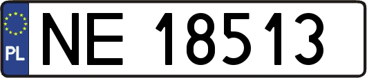 NE18513