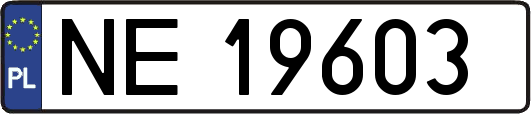 NE19603