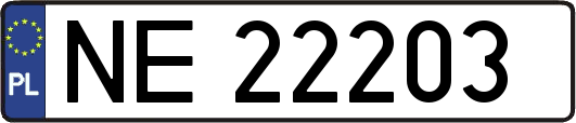 NE22203