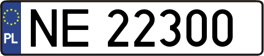 NE22300