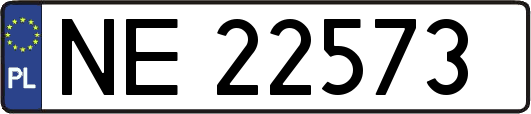 NE22573