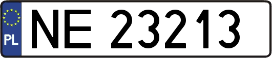 NE23213