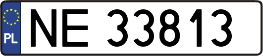 NE33813