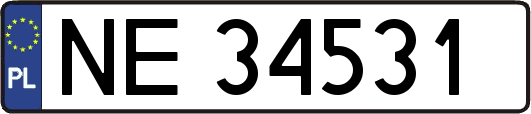 NE34531