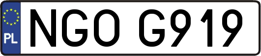 NGOG919
